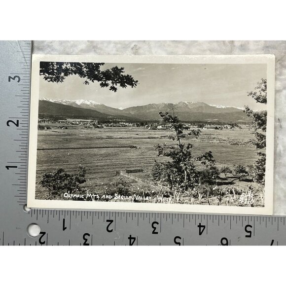 Olympic Mountains RPPC Postcard Vintage Sequim Valley WA North Peninsula - Picture 2 of 6